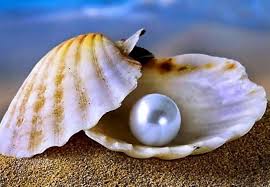 Pearl (Moti)
